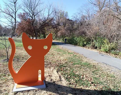 25 Fall Bike Trail Newt