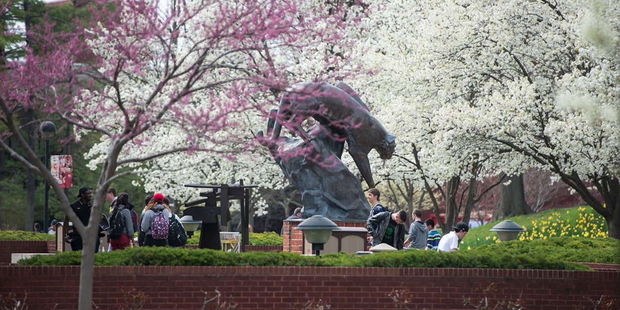 FAFSA Completion Nights