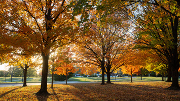 SIUE on a fall day.