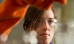 Environmental Sciences