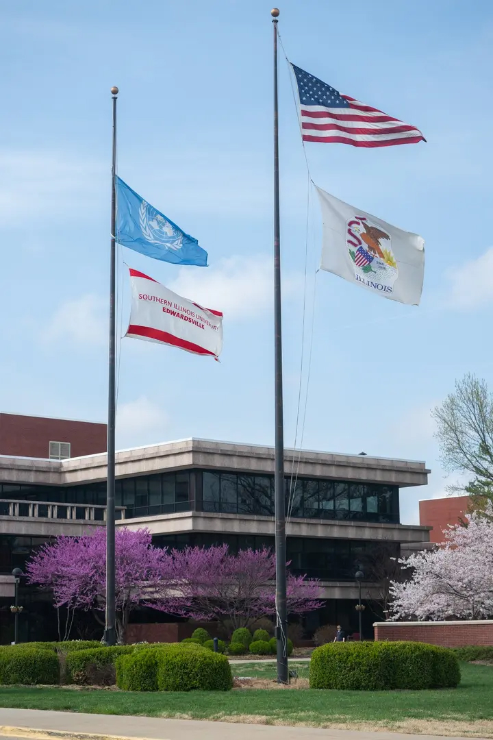 U.S., Illinois, United Nations and SIUE flags fly on poles in front of a campus building framed by blooming spring trees.