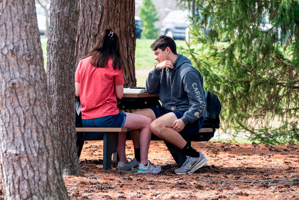 SIUE Students studying at a picnic table beneath a wooded area on campus.