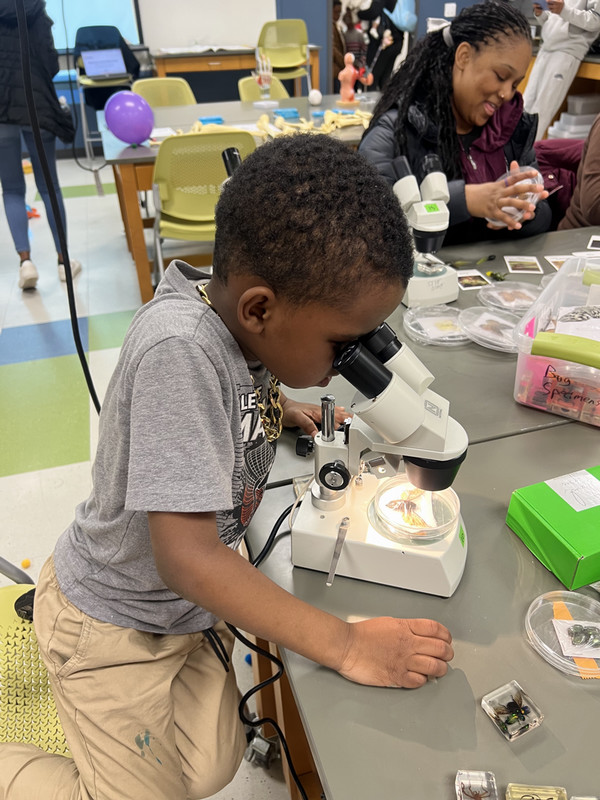 Little Boy looks into telescope