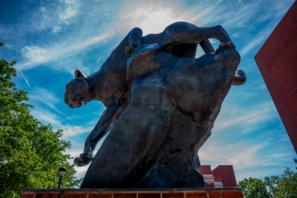 Low Angle of Cougar Statue and sky