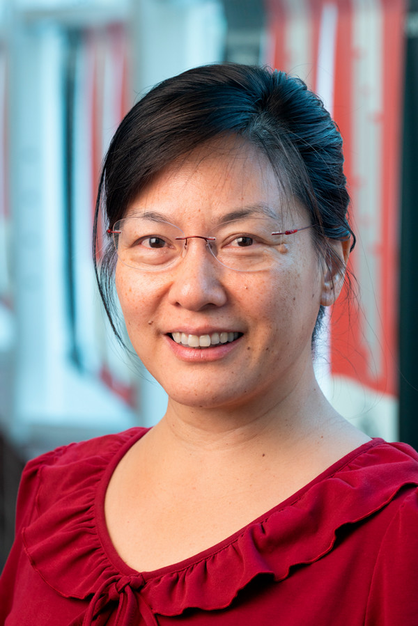 Yan Qi, PhD, professor of Civil Engineering