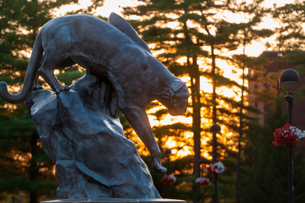 Photo of the Cougar Statue at sunset.