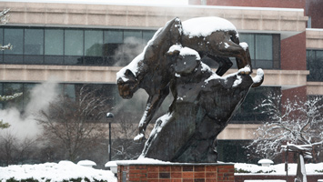 SIUE Cougar in the S