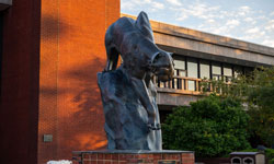 Summer at SIUE