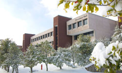 Winter Courses