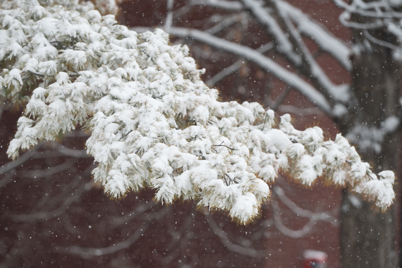 Winter at SIUE