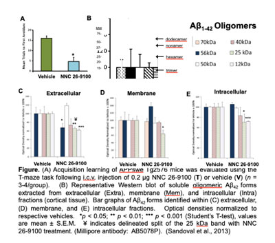 Oligomer Pic