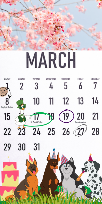 A march calendar with some dates circled, a goose in St. Patrick's day costume, and several dogs with birthday party hats and birthday cakes at the bottom.  Why?  Because it's my birthday, I love dogs, and my misuses of power are minute and hilarious.