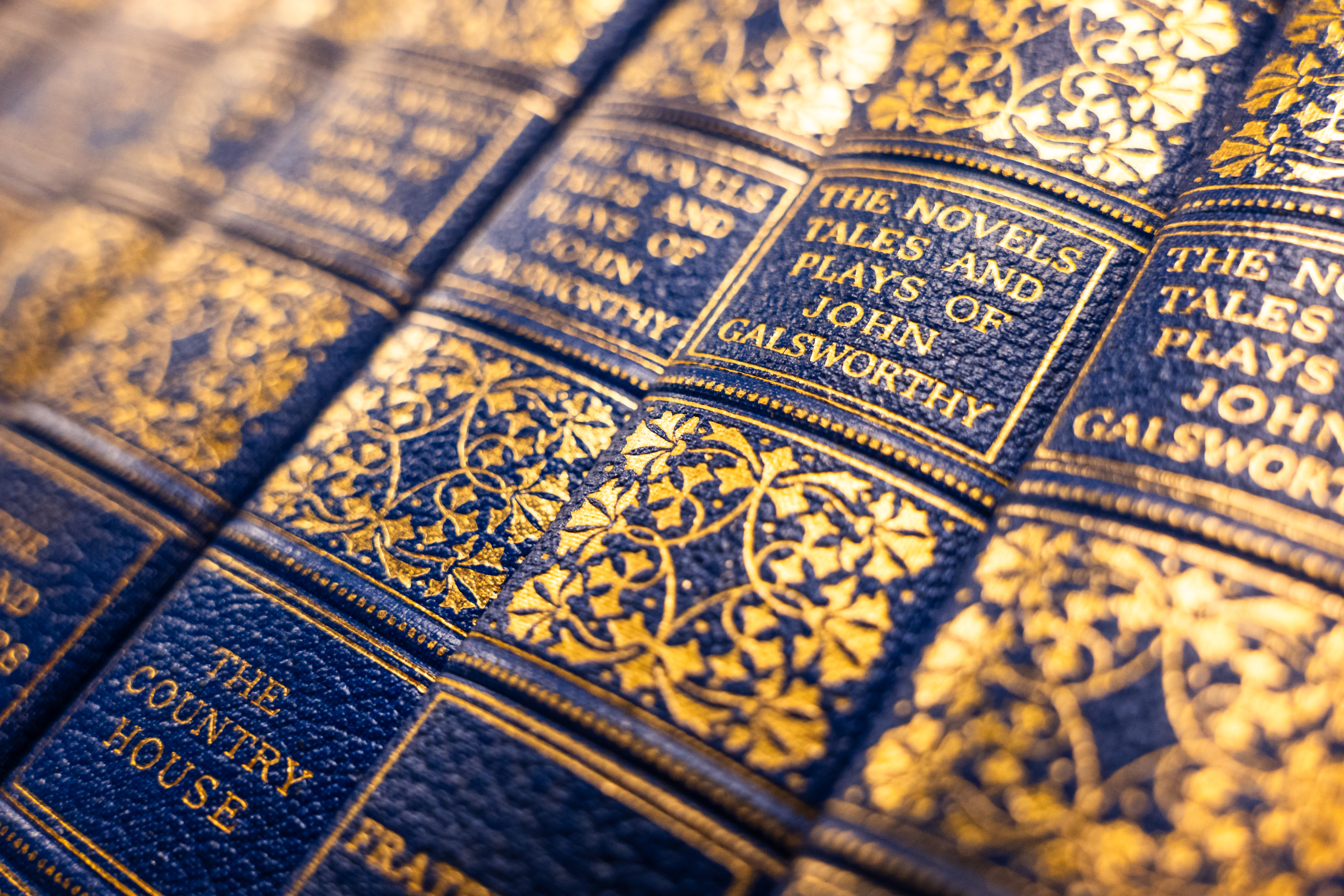 Picture of book spines, blue and gold