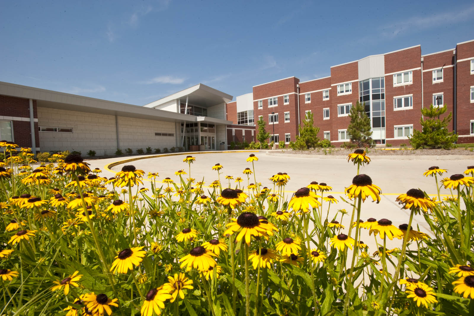 Flowers outside of Evergreen Hall