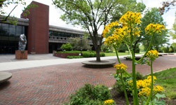 SIUE student at Commencement getting her diploma.