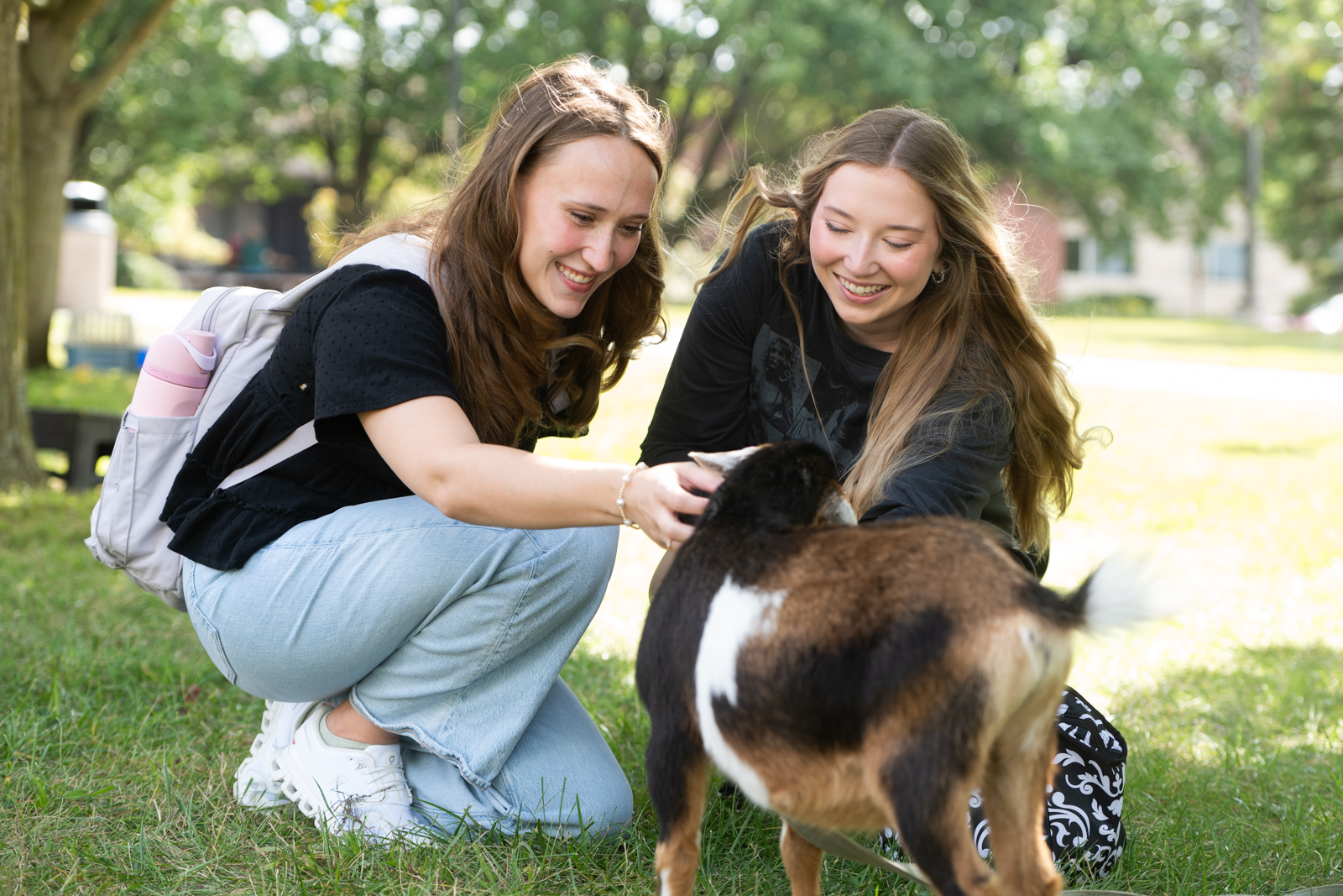 Student Health and Well-being