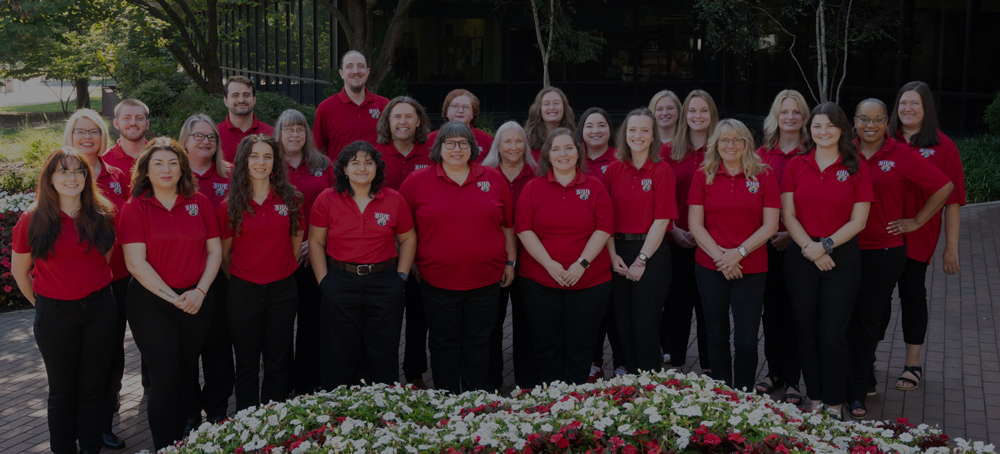 Meet the Team