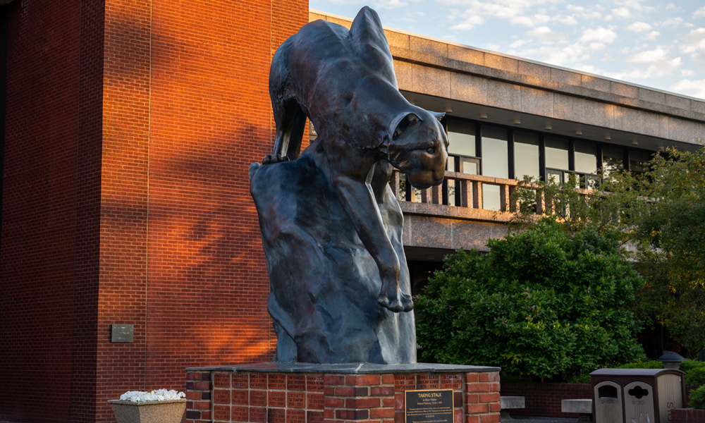 SIUE cougar